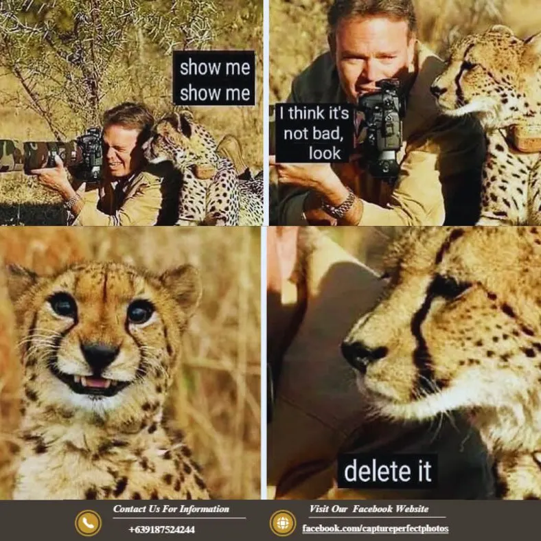 Capture Perfect social media post